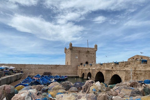 Day trip to Essaouira