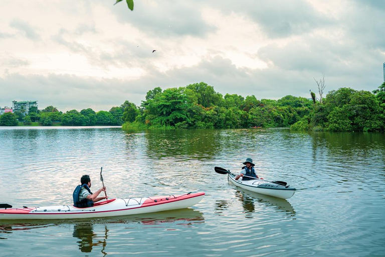 Colombo: Diyawanna Lake Kayaking Experience Single Kayak