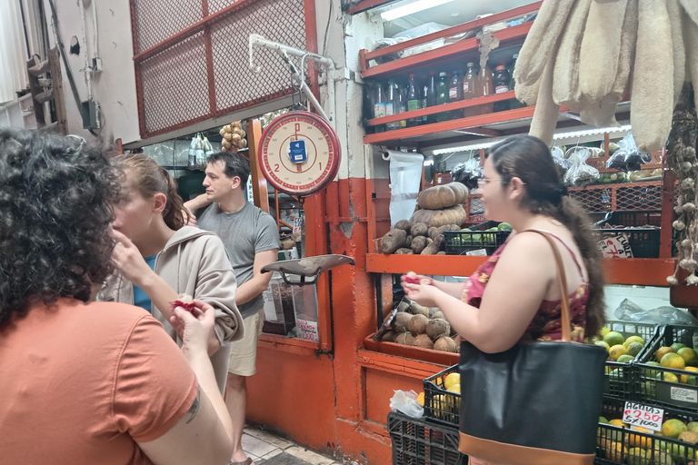 Visita guiada de San José en grupo reducido: Almuerzo y Teatro NacionalTour privado en inglés