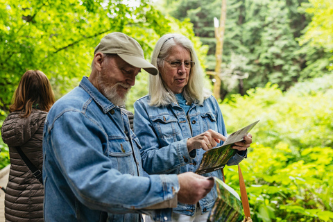 Stadsrondleiding San Francisco + Muir Woods en SausalitoSan Francisco Grand City Tour + Muir Woods en Sausalito