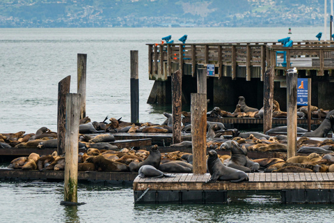 SF: Guided Walking Tour, Cable Car Ticket & Pier 39 Meal
