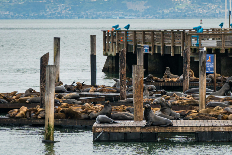 SF: Guided Walking Tour, Cable Car Ticket & Pier 39 Meal