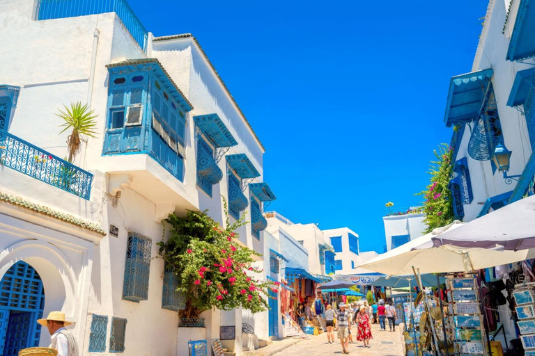 Bizerte and Sidi Bou Said: Tour and lunch at Coco Beach Café in Sidi Bou Said Large Group