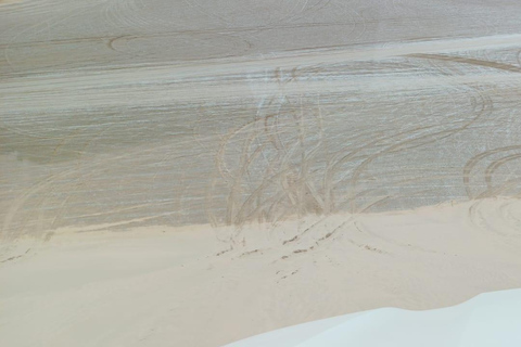 Doha: Desert Safari with Dune Bashing and Sunset Views