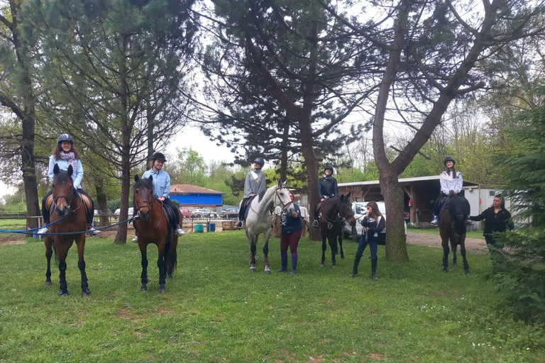 Varese: Horseback Riding through Woodlands and Meadows with Lunch in Fagnano Olona Lunch