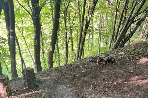 Rzeszów: Ausflug aufs Land mit Lagerfeuer und Würstchengrillen
