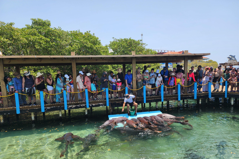 Cartagena:Explore the oceanarium with entrance fee included, lunch at the beach club