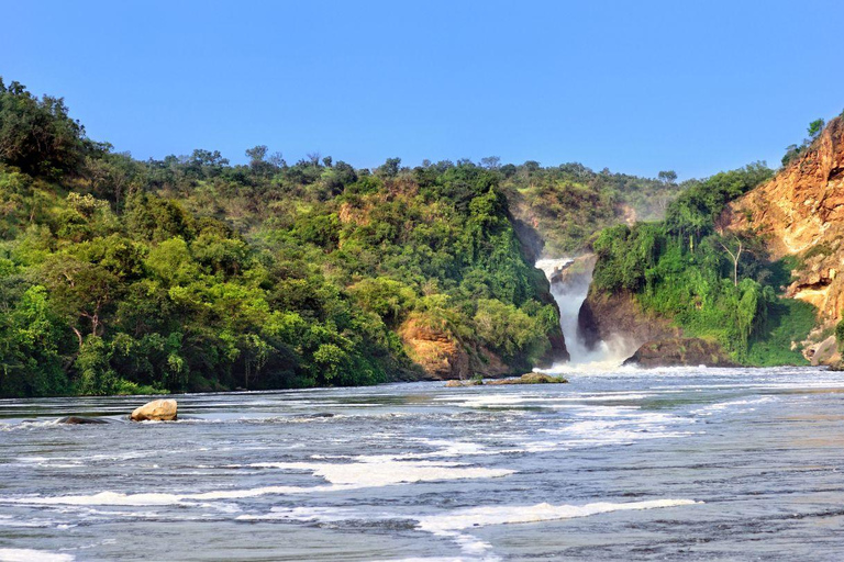 Oeganda Afrika : 3 Dagen Murchison Falls