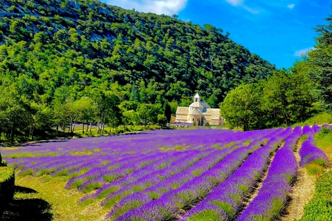 Provence Highlights Full-Day Tour from Avignon