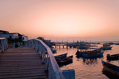 Mangrove Mysteries - Puerto Pizarro Tour