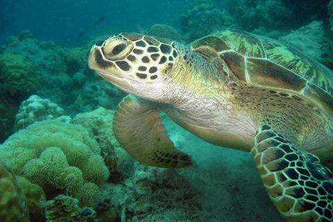 Phuket: Combinação de sol e pôr do sol com mergulho com snorkel e natação