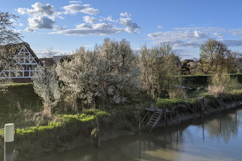 Lado rural de Hamburgo - Altes Land