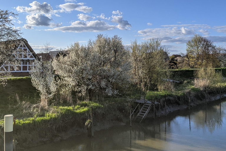 La campagne hambourgeoise - Altes Land