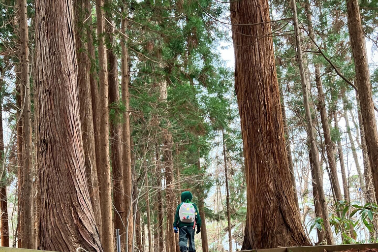 Sapporo: Fish Markets Half Day with a Local