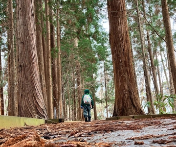Sapporo Solo Traveler´s Tour: Explore With a Local Friend
