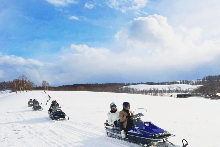 Hokkaido: Asahiyama Zoo, Biei, and Ningle Terrace Tour 7:30 Meetup at Odori Park Subway Station Exit 31