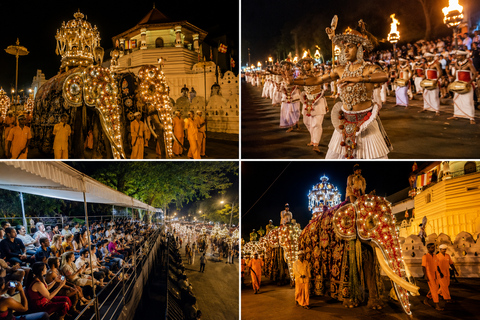 From Sigiriya to Kandy: Cultural Journey with Local