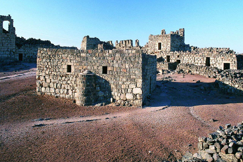 History & Nature: Azraq Wetland Reserve and Desert Castles