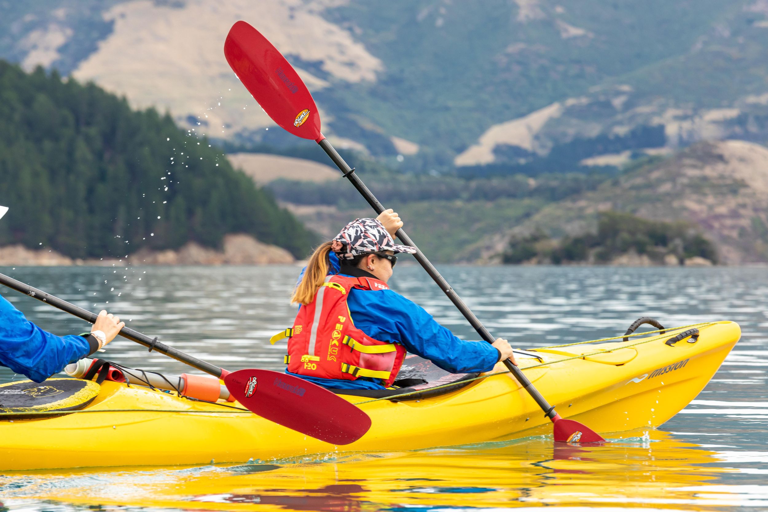 Christchurch: Seekajak Tour durch den Lyttelton Harbour