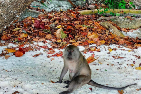 Ko Lanta: Unieke 4 eilanden snorkeltour met lunchGedeelde tour