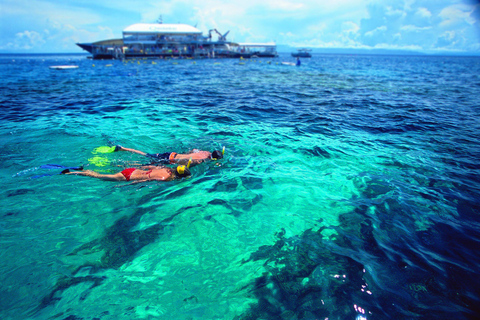 Cairns: Outer Barrier Reef Full-Day Cruise ex Port Douglas From Cairns: Outer Barrier Reef Full-Day Cruise