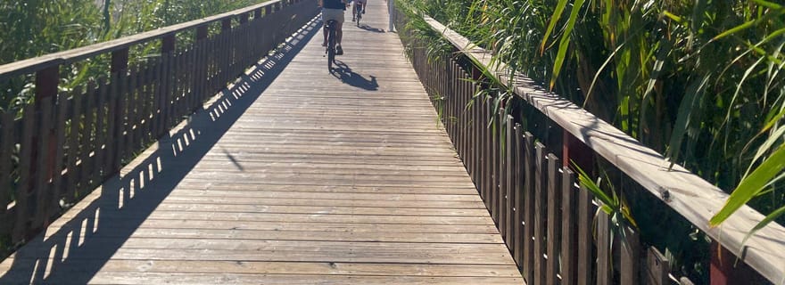 Estepona : visite privée en vélo eBike haut de gamme