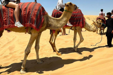 Doha: Wüstentour mit Kamelreiten, Sandboarding &amp; EssenDoha: geführte Wüstentour mit Kamelreiten, Sandboarding &amp; Essen