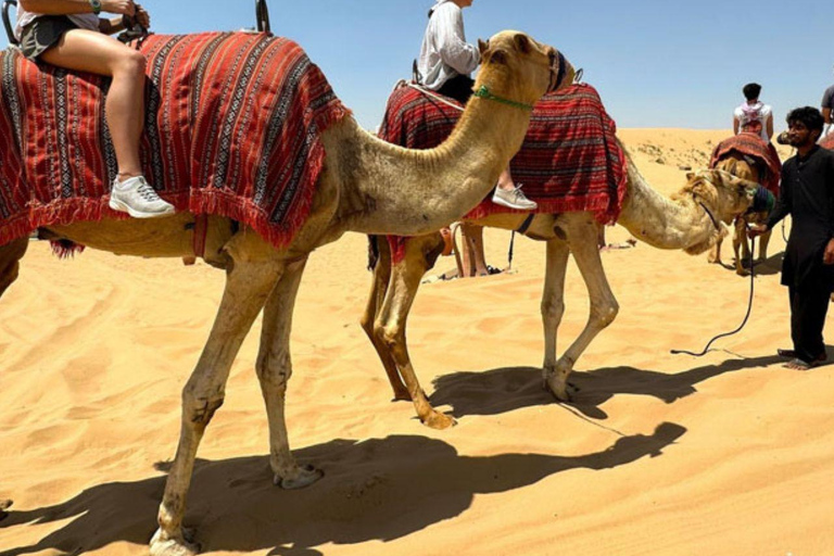 Doha: Wüstentour mit Kamelreiten, Sandboarding &amp; EssenDoha: geführte Wüstentour mit Kamelreiten, Sandboarding &amp; Essen