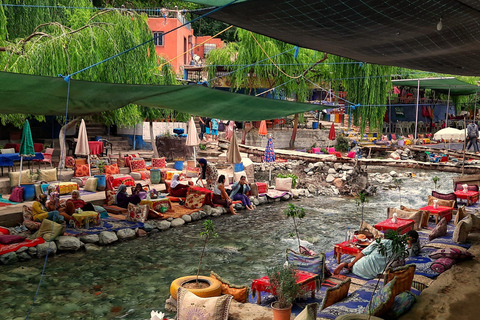 Marrakech: Atlasgebergte, Ourika waterval met gids+lunchGroepsreis