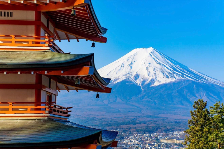 Mt Fuji 8 Spots Customizable Sightseeing Day Tour with Guide Mt Fuji 8 Spots Customizable Sightseeing Day Tour with Guide