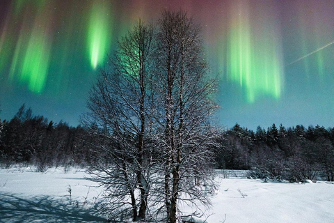 Rovaniemi: Aurora Hunt with Photos and Money Back Guarantee Rovaniemi Aurora hunt with photograph & money back guarantee