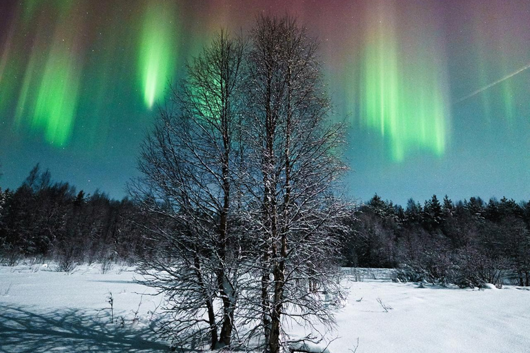 Rovaniemi: Aurora Hunt with Photos and Money Back Guarantee Rovaniemi Aurora hunt with photograph & money back guarantee