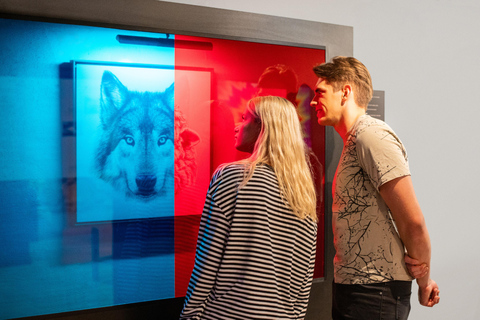 Vilnius: Museum of Illusions - Entry Ticket