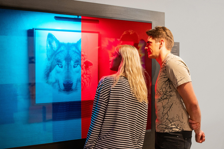 Vilnius: Museum of Illusions - Entry Ticket