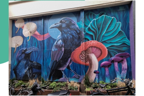 Haga: Interaktywna wycieczka po sztuce ulicznejHaga: Street Art Tour