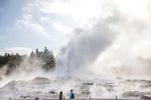 Ex Auckland: TE PUIA GEOTHERMAL &amp; HOBBITON Private Day Tour