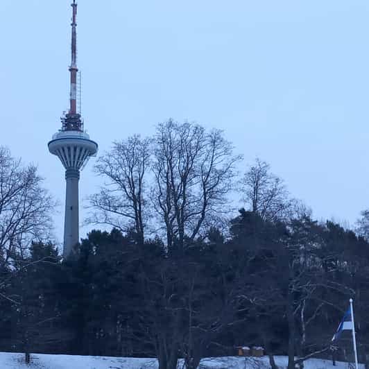 Tallinn TV tower and Botanic garden (a tour with a guide)