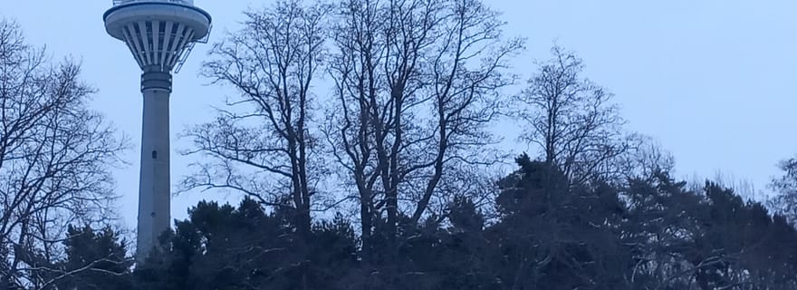 Tour de télévision et jardin botanique de Tallinn (visite guidée)