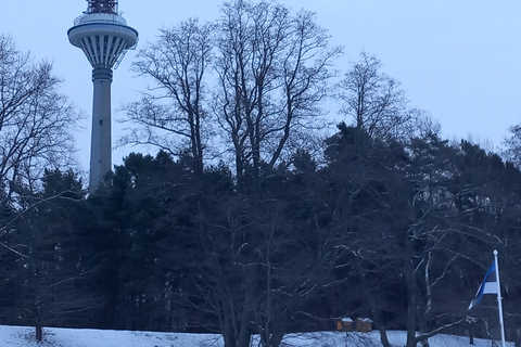 Tallinn TV tower and Botanic garden (a tour with a guide)