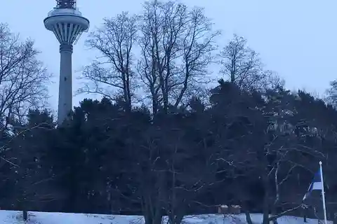 Tallinns Fernsehturm und Botanischer Garten (eine Tour mit einem Führer)