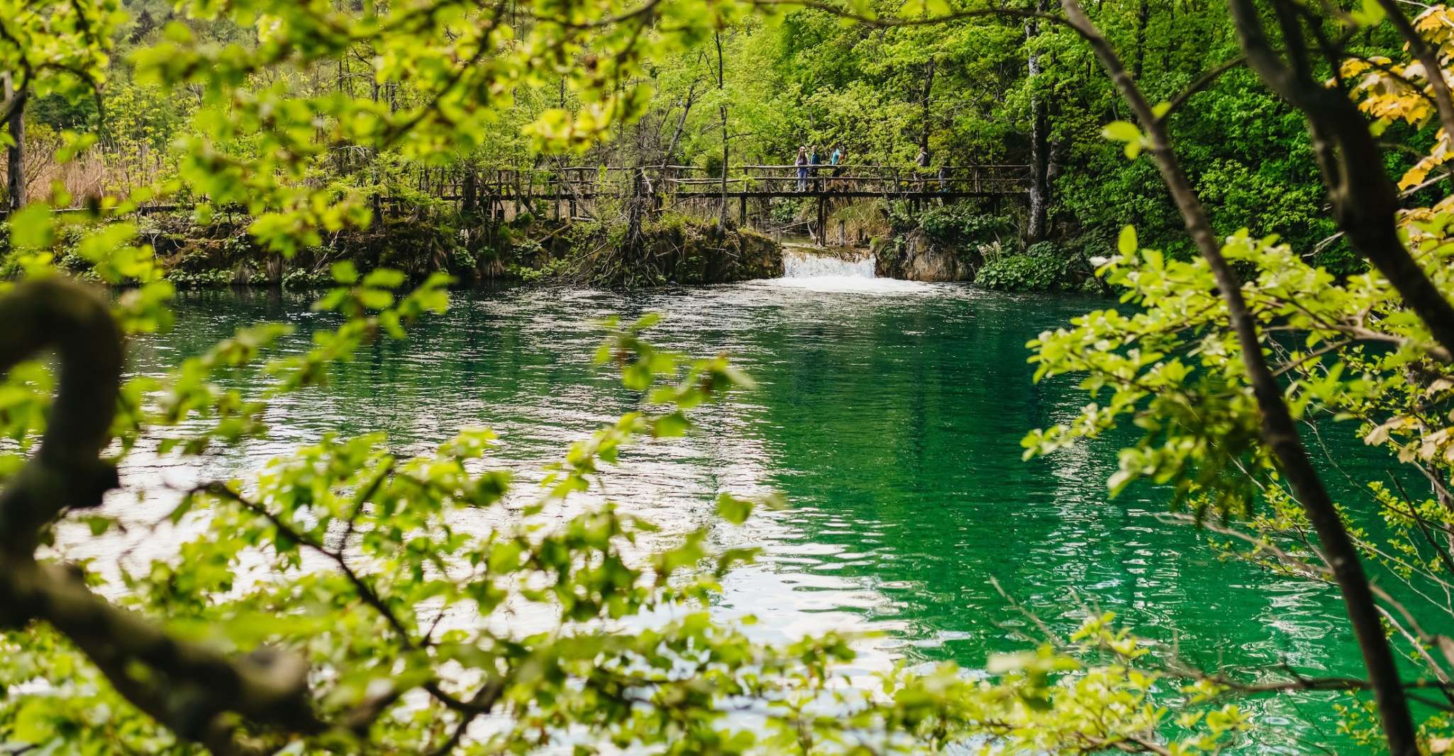 From Split or Trogir, Plitvice Lakes Tour with Entry Tickets - Housity