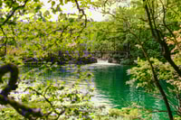 From Split or Trogir, Plitvice Lakes Tour with Entry Tickets - Housity