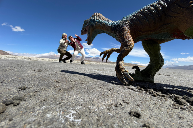 Explore Arequipa: A Day in Salinas with Flamingos, Hot Springs, and Photos Included