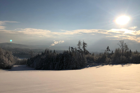 Swiss Highlights: Guided Zürich, Lucerne, Basel & Bern tour