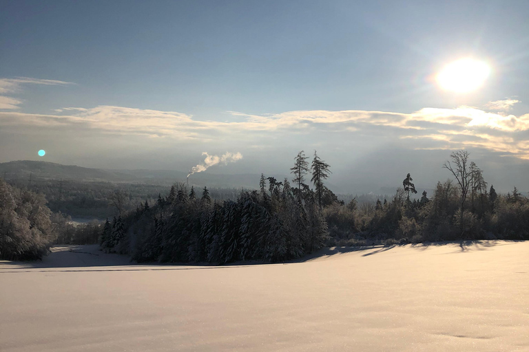 Swiss Highlights: Guided Zürich, Lucerne, Basel & Bern tour