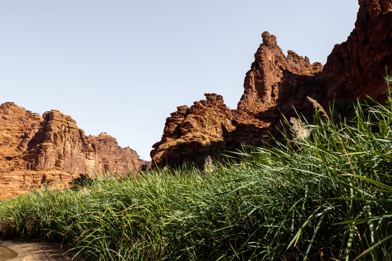 Aventura en el Wadi Disah (desde Al Ula)