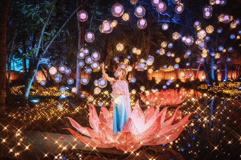 The Lens: Once-a-Year Light Festival Journey Light Festival at Na Satta Park: Magical Once-a-Year Moment