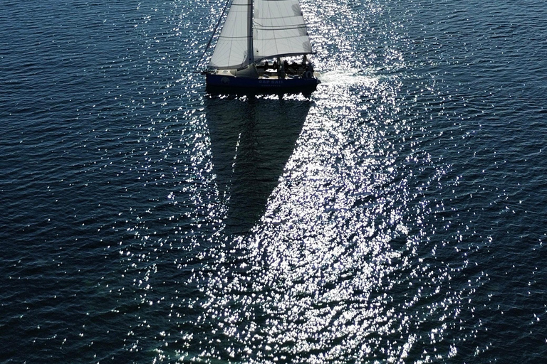 Antibes : Discover the Art of Sailing on a Scenic Cruise