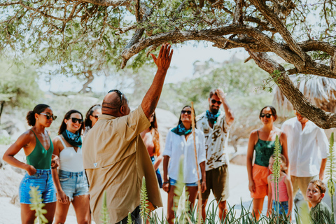 Santa Cruz: Natural Pool & Caves Off-Road Safari