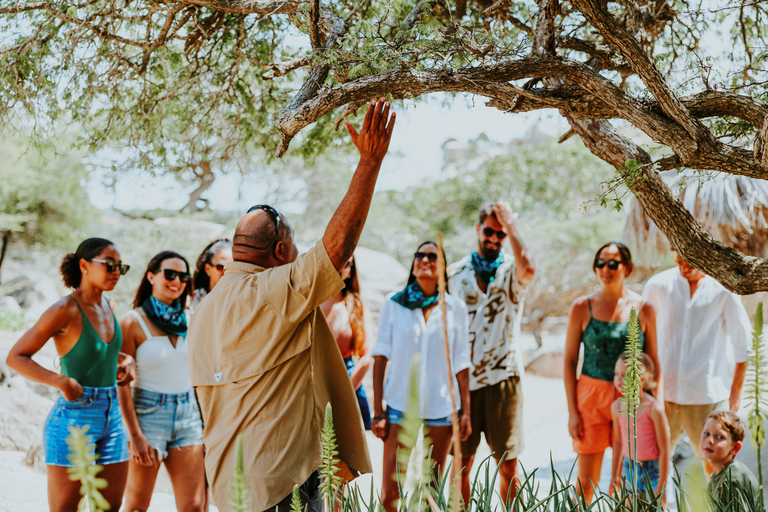 Santa Cruz: Natural Pool & Caves Off-Road Safari